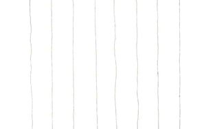 1363584 - Mediatech STT LED Lichtervorhang Angel Hair Curtain Nero, 264LED sww, 2mx2.2m black kaufen Schweiz | Mediatech.ch