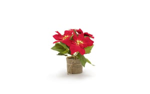 1920316 - Mediatech STT LED Poinsettia 24 15LED ww, 15x24cm, exkl. 3xAAA, Timer 6/18 kaufen Schweiz | Mediatech.ch