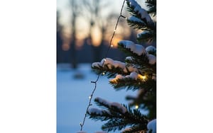 2058666_3 - Mediatech Dameco LED Lichterkette Outdoor, 200 LED L: 15m