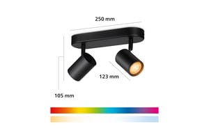 Philips PHI BOS 2x5W B 22-65K RGB