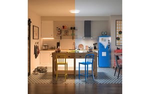 Philips Ceiling Rune Due Zone