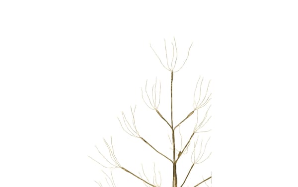 STT LED Weihnachtsbaum Champagne 180 750LED, ww, H180cm