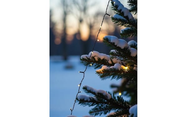 2058666_3 - Mediatech Dameco LED Lichterkette Outdoor, 200 LED L: 15m