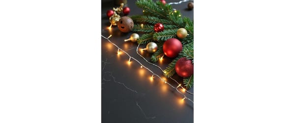 2058672_3 - Mediatech Dameco LED Lichterkette Outdoor, 20 LED, 1.5m