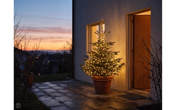2140385_4 - Mediatech COCON Christbaumbeleuchtung 500 LEDs 12.5m für 1.5m Baum, warmweiss, IP55