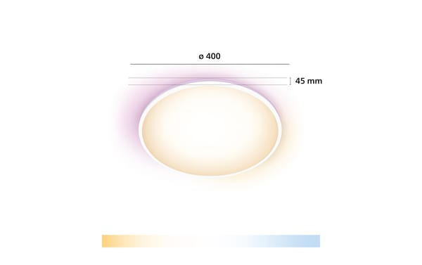 Philips Ceiling Rune Due Zone