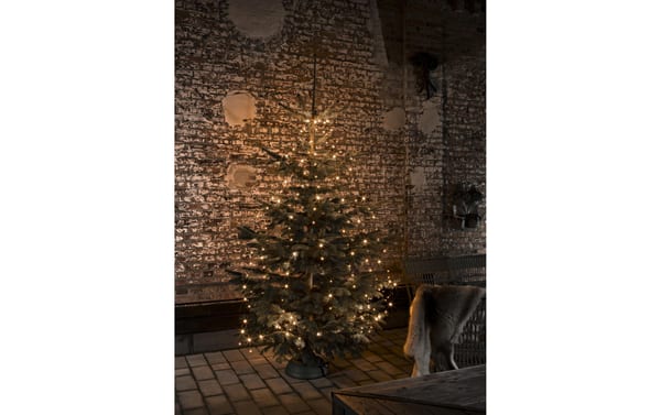 Konstsmide Baummantel LED, 8x30 LED, Out Bernsteinfarben, 120 glimmend