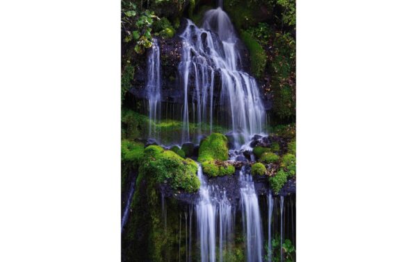 1025295_8 - Mediatech Pentax HD D-FA 70-200mm/4.0 SDM WR (CH-Garantie)