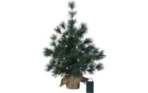 Star Trading LED Weihnachtsbaum 60cm Furu B: 40cm, Zuleitungskabel 40cm, 20 LED kaufen Schweiz | Mediatech.ch