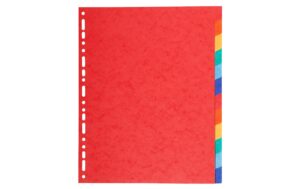 Biella Register Top Color A4 12tlg Recyclingkarton 220g/qm2