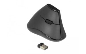 Delock 12622 5 Tasten Maus, 2.4GHz Lautlos