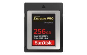 SanDisk CFexpress Extreme Pro 256GB Typ B Lesen 1700MB/s, Schreiben 1200MB/s