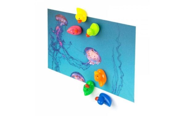 Trendform Magnet DUCK 6er Set