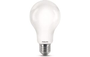 Philips LED Lampe 13W (120W) E27, A67, 2000lm, 2700K, matt