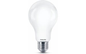 Philips LED Lampe 17.5W (150W) E27, A67, 2500lm, 2700K, matt kaufen Schweiz | Mediatech.ch