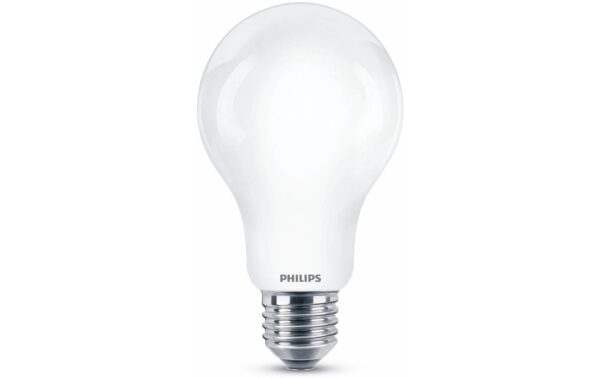 Philips LED Lampe 17.5W (150W) E27, A67, 2500lm, 2700K, matt kaufen Schweiz | Mediatech.ch
