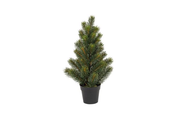 1097484 - Mediatech Botanic-Haus Tannenbaum im Topf H: 41 cm kaufen Schweiz | Mediatech.ch