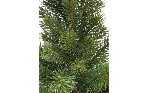 1097484_1 - Mediatech Botanic-Haus Tannenbaum im Topf H: 41 cm