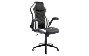 Racing Chairs Racingchair CL-RC-BW-2 Gaming Chair schwarz/weiss kaufen | Mediatech.ch