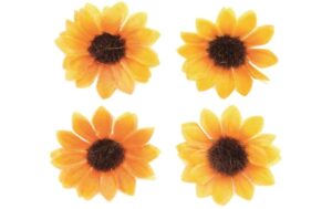 Glorex Blüten Sonnenblumen 15 Stück, D: 3.5 cm