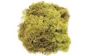 Glorex Islandmoos 50g Hellgrün
