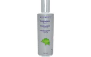 Duftöl 250ml Morning Dew