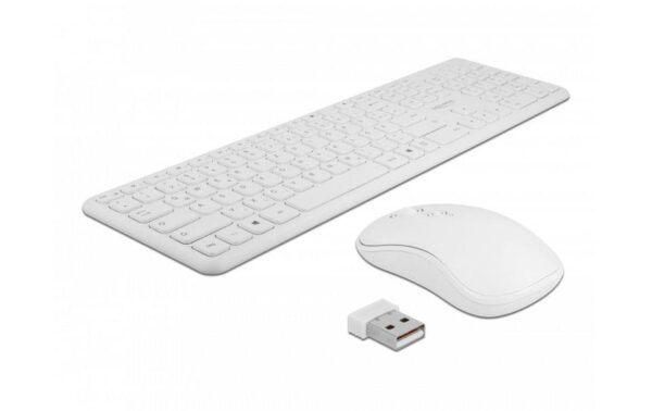 Delock USB Tastatur und Maus Set, 2,4 GHz kabellos weiss