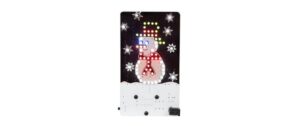Whadda SNOWMAN kaufen Schweiz | Mediatech.ch