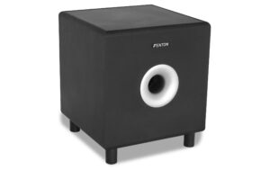 Fenton SHFS10B 10 Subwoofer zu SHFB658B kaufen Schweiz | Mediatech.ch