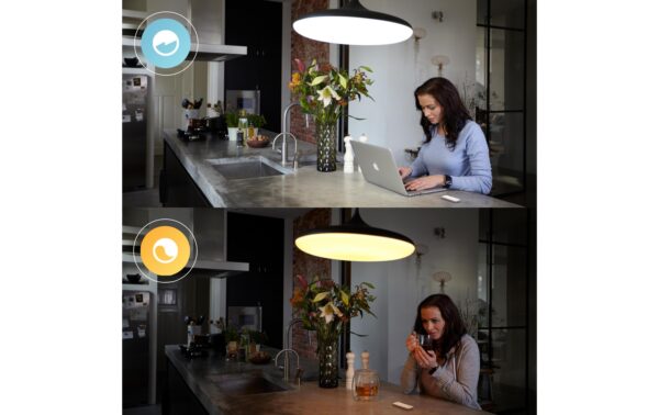 Philips Hue Dimmer Switch V2 weiss