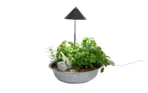 Neogard SunLite Grau, 7W 5084K, 1206 lm, IP54, Vollspektrum