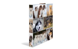 Herma Ringbuch A4 3.5 cm Hunde 2D Rückenbreite: 3.5 cm, Füllhöhe: 2 cm
