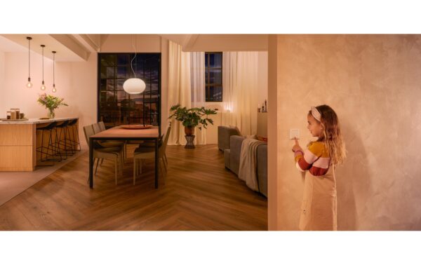 Philips Hue UP Wandschalter Modul weiss, 2 Stk