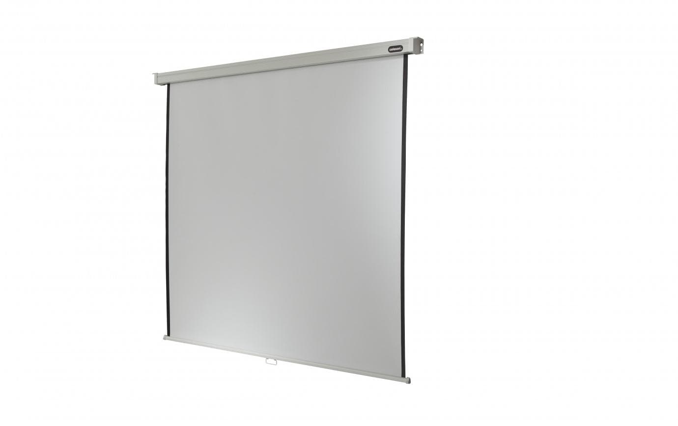 1167323_3 - Mediatech Celexon, Rollo Professional Plus, 4:3 manuell, 200x150cm