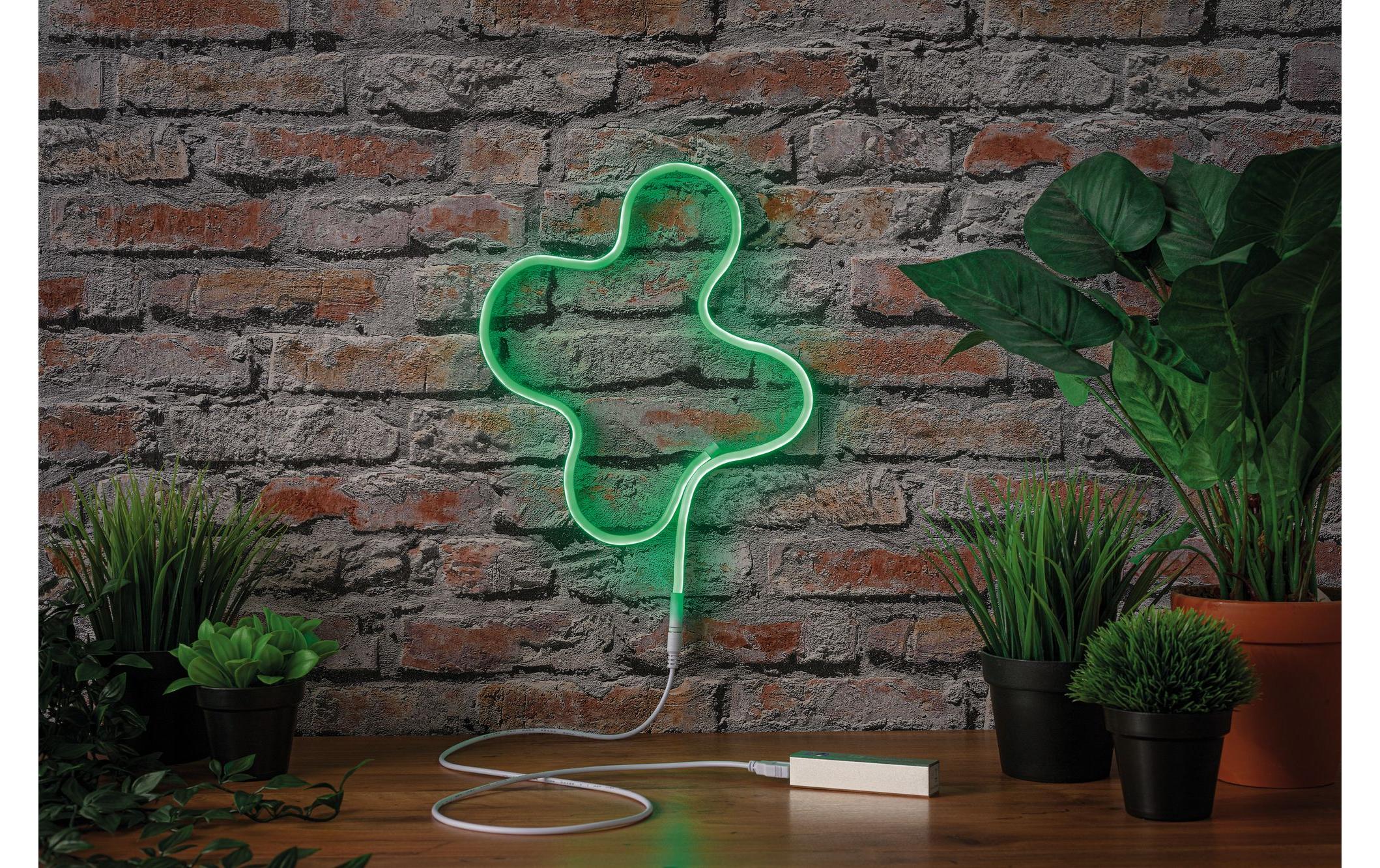 1210891_3 - Mediatech Paulmann LED Stripe Neon Colorflex USB Grün 4.5W, Pink, 10lm, 100cm