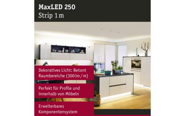 Paulmann LED Stripe MaxLED 250 1m EXT 4W, 2700K, 300lm, unbeschichtet