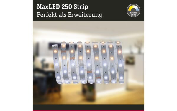 Paulmann LED Stripe MaxLED 250 2,5m EXT 8.8W, Tunable White 2700-6500K, 675lm
