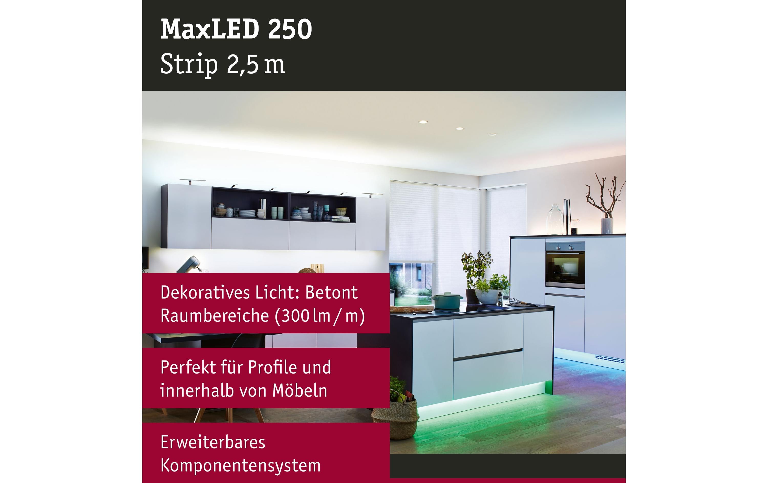 1210945_1 - Mediatech Paulmann LED Stripe MaxLED 250 2,5m EXT 16W, RGBW, 675lm, unbeschichtet