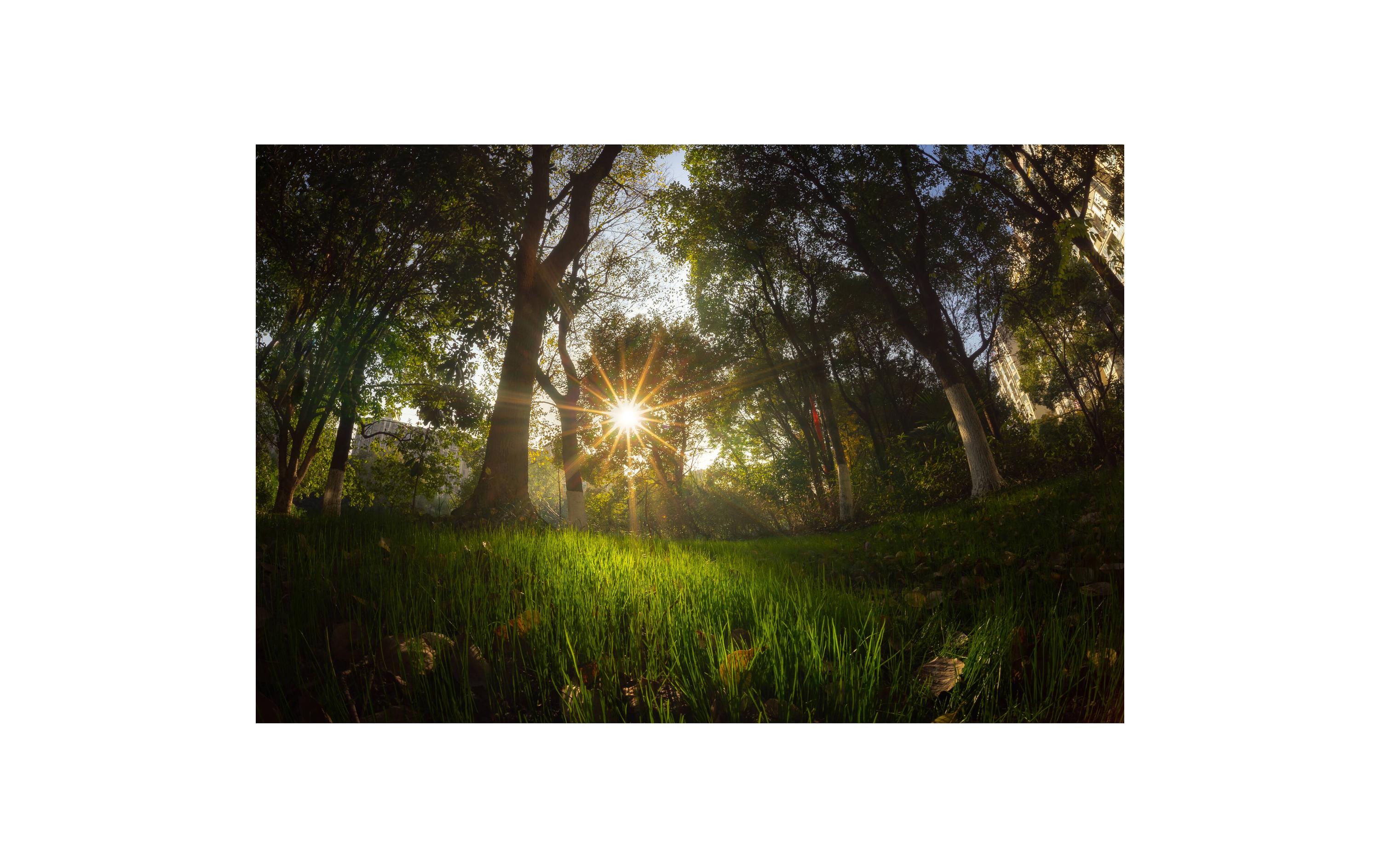 1223075_6 - Mediatech 7Artisans 7.5mm F2.8 mkii Nikon Z-Mount