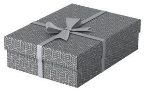 Leitz Aufbewahrungsbox Home M flach 3 Stk. pro Pack, grau