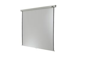 123200 - Mediatech Celexon, Rollo Professional, Leinwand, 1:1 manuell, 160x160cm