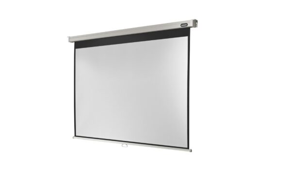 123210 - Mediatech Celexon, Rollo Professional, Leinwand, 4:3 manuell, 220x165cm