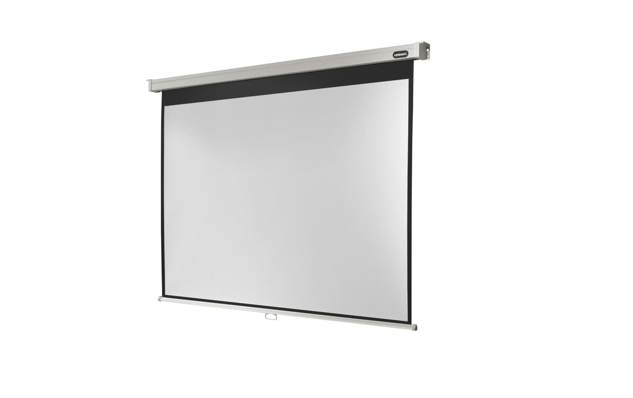 123210 - Mediatech Celexon, Rollo Professional, Leinwand, 4:3 manuell, 220x165cm