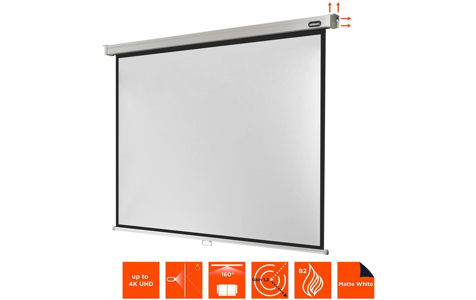 123210_3 - Mediatech Celexon, Rollo Professional, Leinwand, 4:3 manuell, 220x165cm