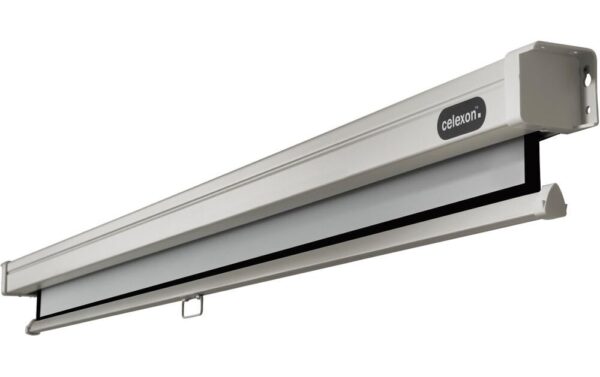 123210_4 - Mediatech Celexon, Rollo Professional, Leinwand, 4:3 manuell, 220x165cm