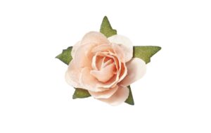 Hobbyfun Streu-Rosen 20 mm 20 Stück, aprikot