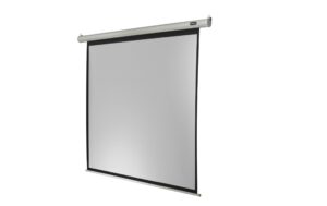 Celexon, Motor Economy, Leinwand, 1:1 elektrisch, 240X240cm