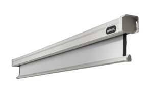 Celexon, Motor Professional, Leinwand, 1:1 elektrisch, 240x240cm