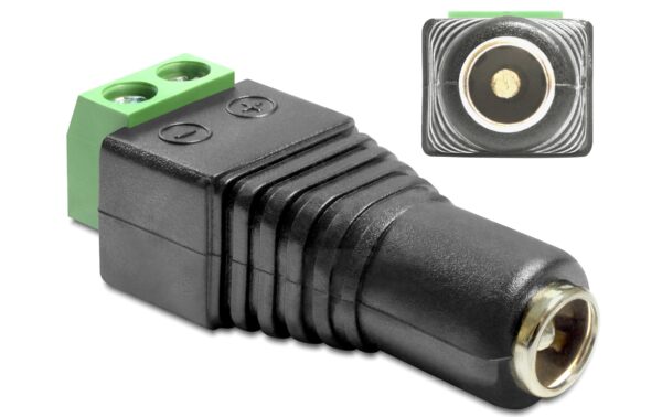 Delock Adapter DC, 5,5 x 2,5mm Buchse Terminalblock, 2 Pin