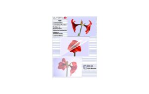 Olympia Laminierfolien DIN A6 125 Micron, Inhalt: 100 Stück kaufen Schweiz | Mediatech.ch